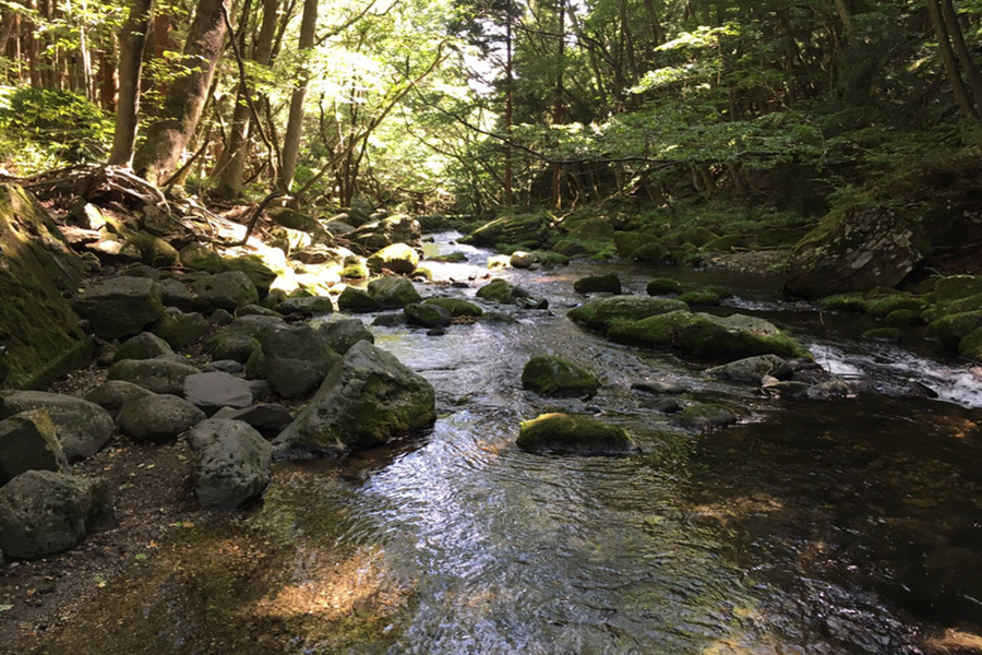 那須