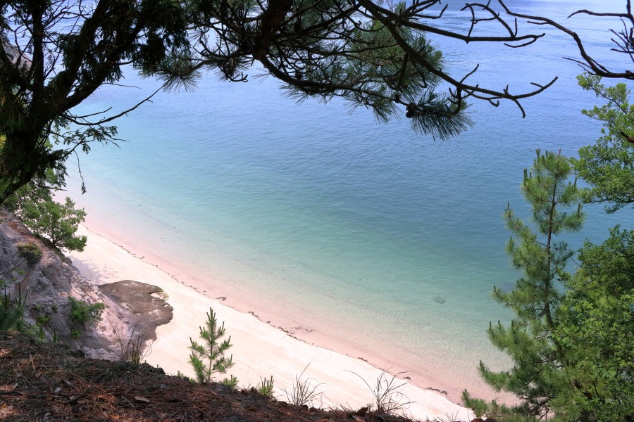 大久野島